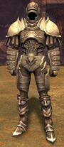 Heavy armor professions of humans, norn, and sylvari