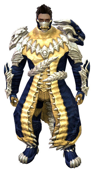 File:Accursed armor norn male front.jpg