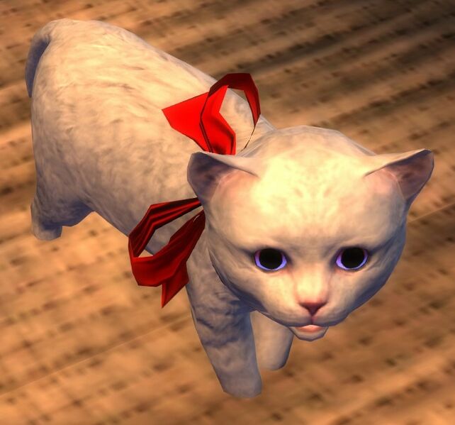 File:Mini White Kitten (NPC).jpg