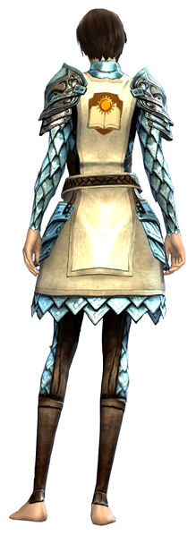 File:Guild Defender armor human female back.jpg