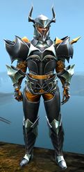 Elegy armor (heavy) human male front.jpg