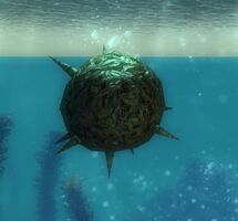Spike Trap (underwater).jpg