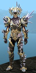 Blossoming Mist Shard armor (heavy) human male front.jpg