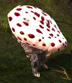 Mushroom Bomber.jpg