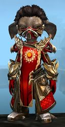 Ornate Guild armor (medium) asura male front.jpg