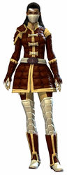 Studded armor norn female front.jpg