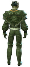 Ascalonian Performer armor sylvari male back.jpg