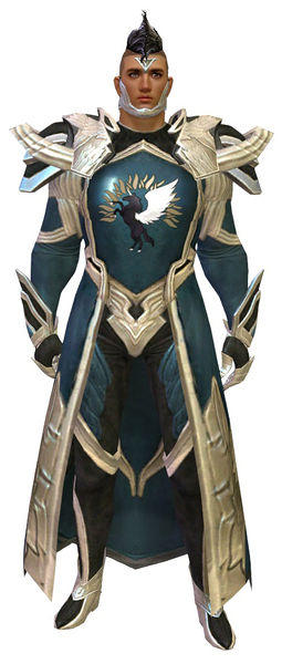 File:Guild Watchman armor human male front.jpg