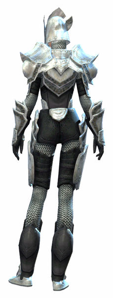 File:Heavy Plate armor human female back.jpg