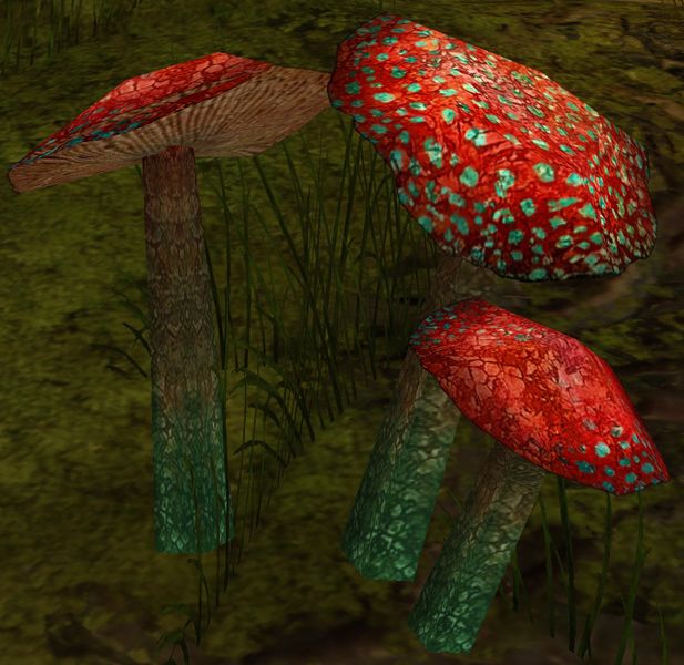 File:Tasty Mushroom.jpg