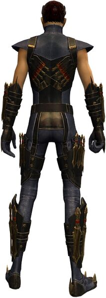 File:True Assassin's Guise Outfit human male back.jpg