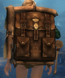 Intricate Leatherworker's Backpack.jpg