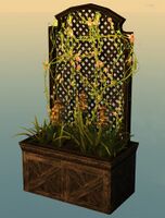 Lattice Planter with Loosestrife.jpg