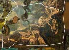 Canopy over Pale Reaver Rally map.jpg