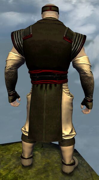 File:Heavy Monastery armor norn male back.jpg