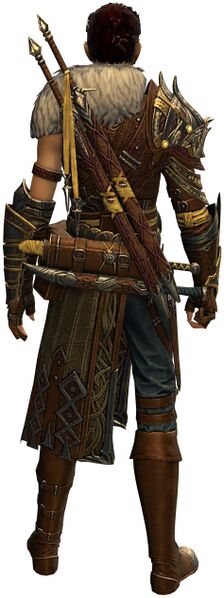 File:Wandering Weapon Master Outfit human male back.jpg