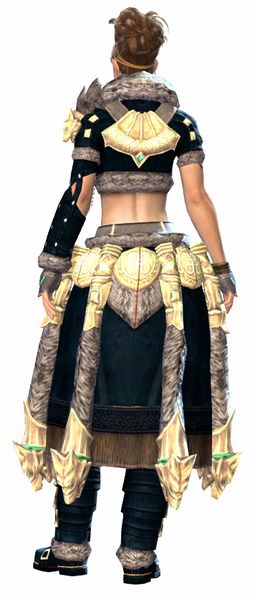 File:Havroun armor norn female back.jpg