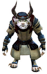 Chainmail armor charr female front.jpg