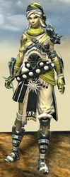 Elonian armor (heavy) sylvari female front.jpg