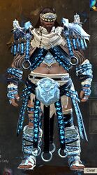 Foefire armor norn male front.jpg