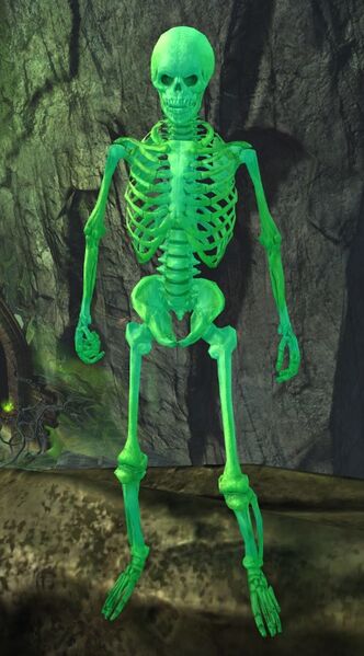 File:Glow-in-the-Dark Skeleton.jpg