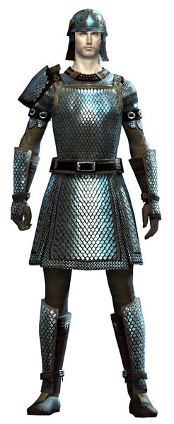 File:Heavy Scale armor human male front.jpg