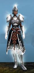 Radiant armor (medium) human female front.jpg