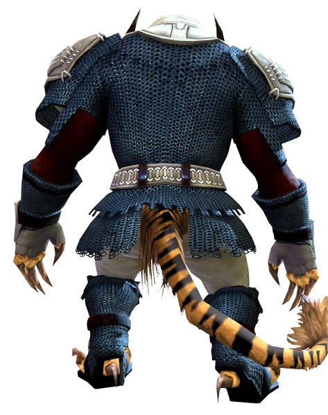 File:Chain armor charr male back.jpg