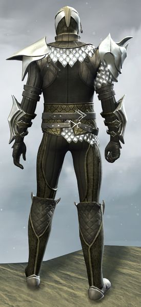 File:Elegy armor (medium) human male back.jpg