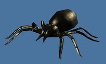 Mini Spooky Spider.jpg