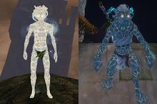 Ember Infusion comparison 2.jpg