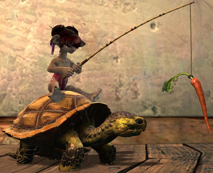 File:Meandering Tortoise Chair asura female.jpg