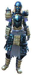 Forgeman armor (heavy) sylvari female front.jpg