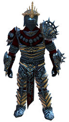Illustrious armor (heavy) norn male front.jpg