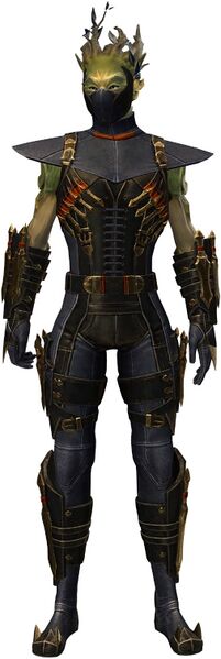File:True Assassin's Guise Outfit sylvari male front.jpg