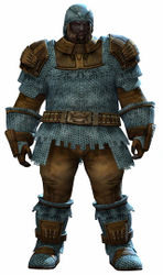 Worn Chain armor norn male front.jpg
