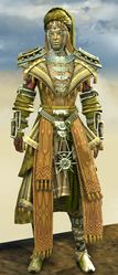 Spearmarshal's armor (light) sylvari male front.jpg