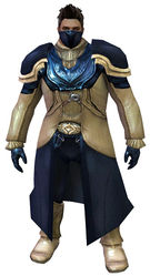 Swindler armor norn male front.jpg