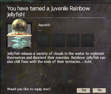 Description of a Rainbow Jellyfish.