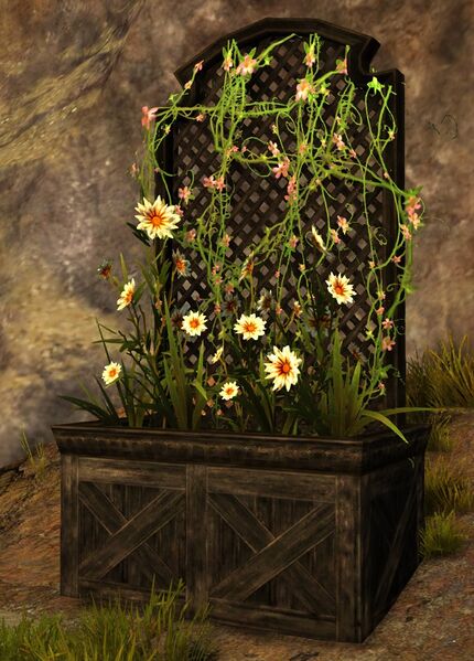 File:Lattice Planter with Daisies.jpg