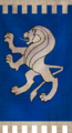 Lion team banner.png