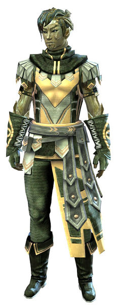 File:Vigil's Honor armor (light) sylvari male front.jpg