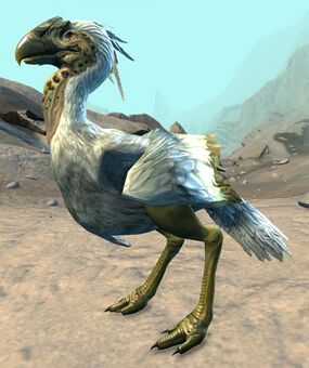 Juvenile White Moa - Guild Wars 2 Wiki (GW2W)