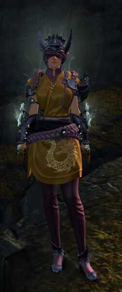 File:Ancient Ritualist armor norn female front.jpg