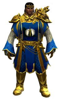 Ornate Guild armor (light) norn male front.jpg