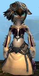 Raven Ceremonial armor asura female front.jpg