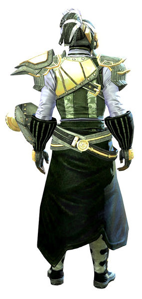 File:Aetherblade armor (light) sylvari male back.jpg
