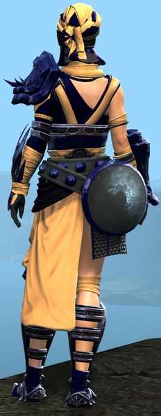 File:Elonian armor (heavy) norn female back.jpg