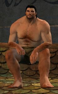 Illusion of Sitting (Attentive) norn male.jpg