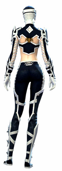 File:Sneakthief armor human female back.jpg
